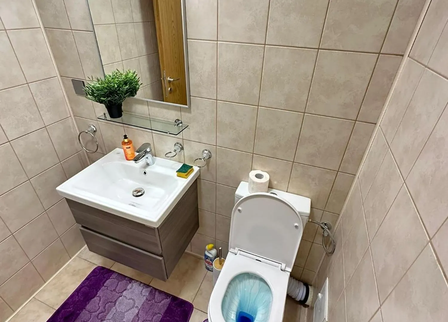 Centru Unirii Luxury VIP Palmier: Two-Room Apartment with Terrace Bucharest Romania