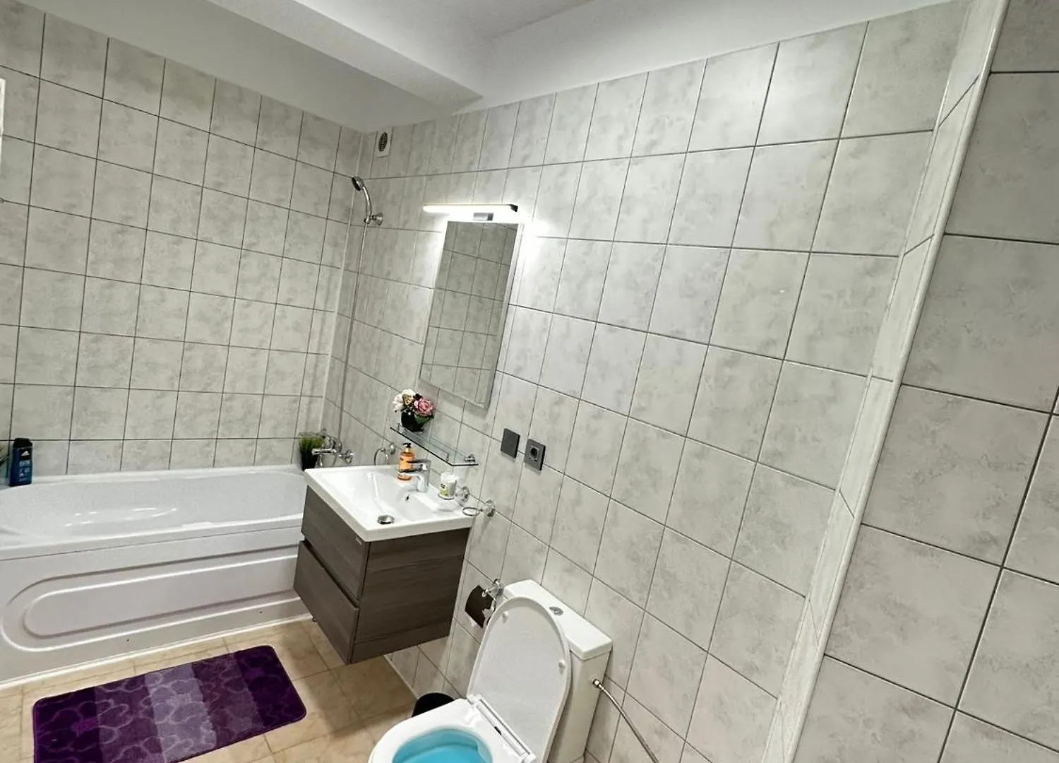 Centru Unirii Luxury VIP Palmier: Two-Room Apartment with Terrace Bucharest